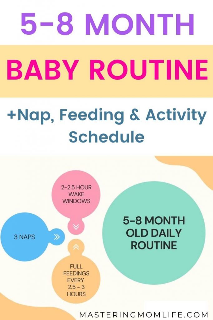 5-8 Month baby routine + nap, feeding and activity schedule (5-8 month baby routine chart)