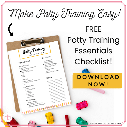 The Best Potty Training Supplies/ Non Toxic Products - Clean