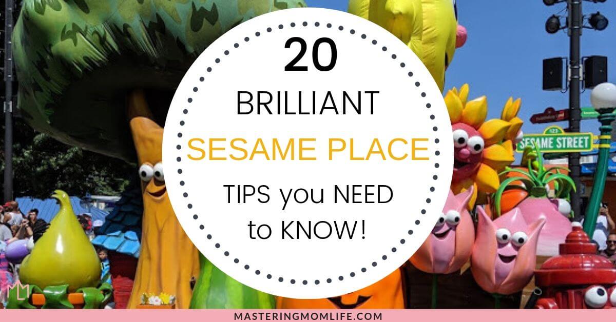 20 top sesame place tips